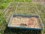 rat met kooi, Dieren en Toebehoren, Oktober, Geslacht onbekend, Rat