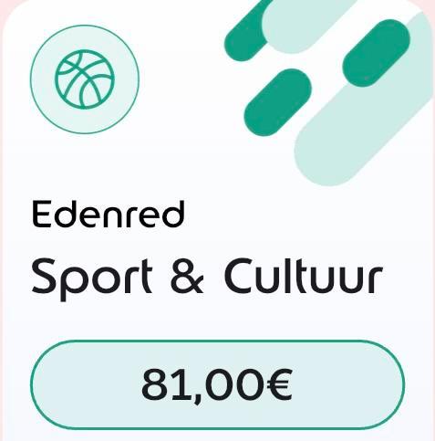 Sport en cultuurcheque, Tickets & Billets, Réductions & Chèques cadeaux