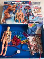 Wetenschap & Spel: het menselijk lichaam - Clementoni, Kinderen en Baby's, Speelgoed | Educatief en Creatief, Ophalen of Verzenden