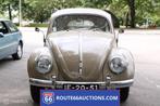 Volkswagen Beetle | 1954 | Route 66 Auctions, Auto's, Volkswagen, Zwart, Bedrijf, Handgeschakeld