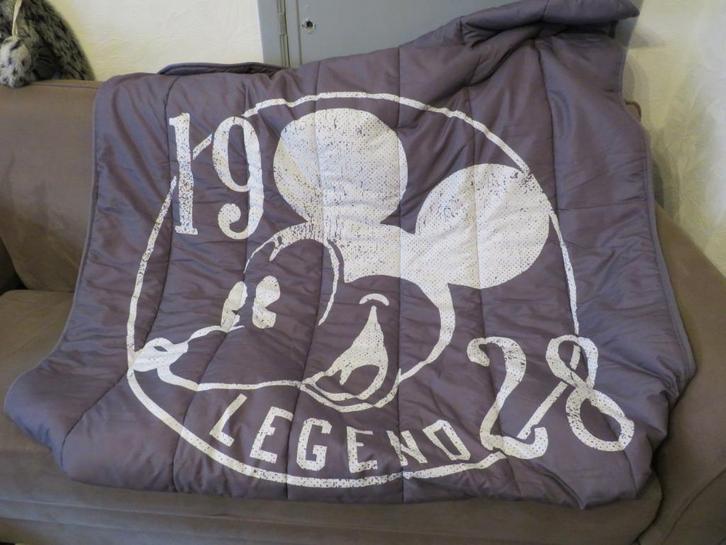 Dekbed Mickey Mouse 120x200 en/of zitzak, Kinderen en Baby's, Kinderkamer | Beddengoed, Zo goed als nieuw, Deken of Dekbed, Grijs