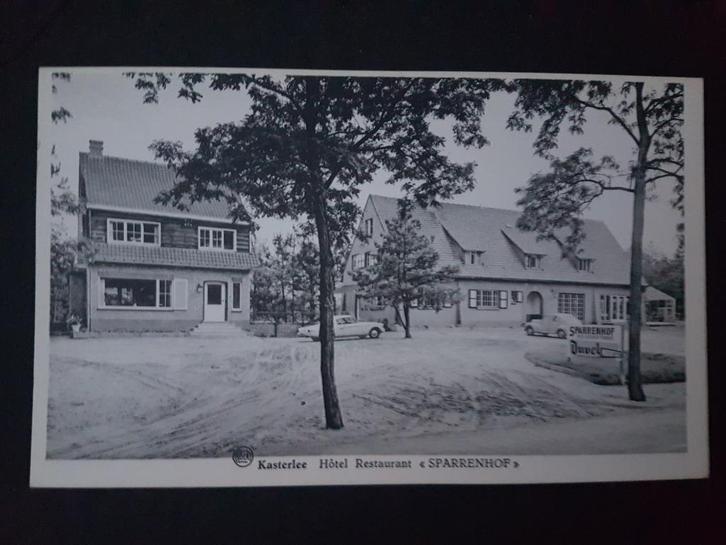 Postkaart Kasterlee Hotel Sparrenhof Restaurant, Verzamelen, Postkaarten | België, Ongelopen, Antwerpen, 1940 tot 1960, Ophalen of Verzenden