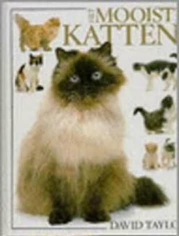 Het mooiste katten boek / David Taylor