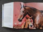 Pur Sang, boek over volbloed paarden in hardcover, 125 blz, Boeken, Dieren en Huisdieren, Gelezen, Paarden of Pony's, Verzenden