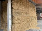 Grote balen stro, Zakelijke goederen, Landbouw | Veevoer, Ophalen