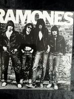 Het label Ramones lp Sire. Gemaakt voor de EU., Cd's en Dvd's, Vinyl | Hardrock en Metal, Ophalen of Verzenden, Zo goed als nieuw