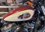 Harley-Davidson STREET BOB, 1745 cm³, 2 cylindres, Chopper, Entreprise