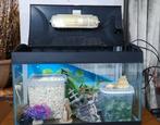 Aquarium 54L en stenen, Dieren en Toebehoren, Ophalen, Zo goed als nieuw