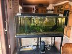 Aquarium met volledige toebehoren, Ophalen, Gebruikt