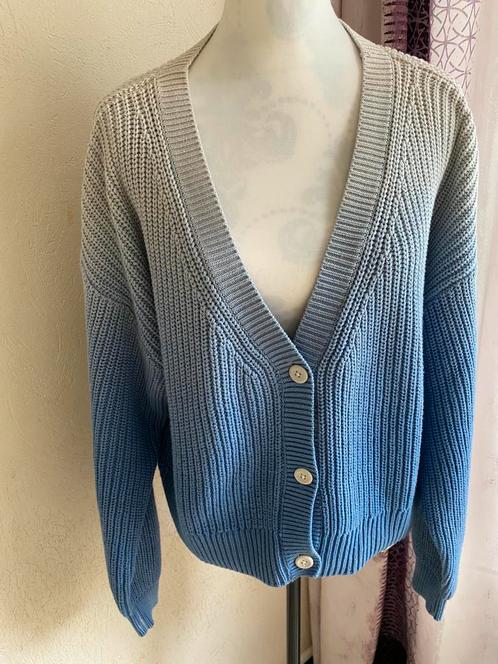 WEEKDAY vest 'Yvette' - Smoke Blue - maat S, Kleding | Dames, Truien en Vesten, Ophalen of Verzenden