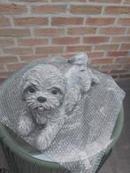 betonnen beelden honden, Tuin en Terras, Ophalen, Nieuw, Beton, Dierenbeeld