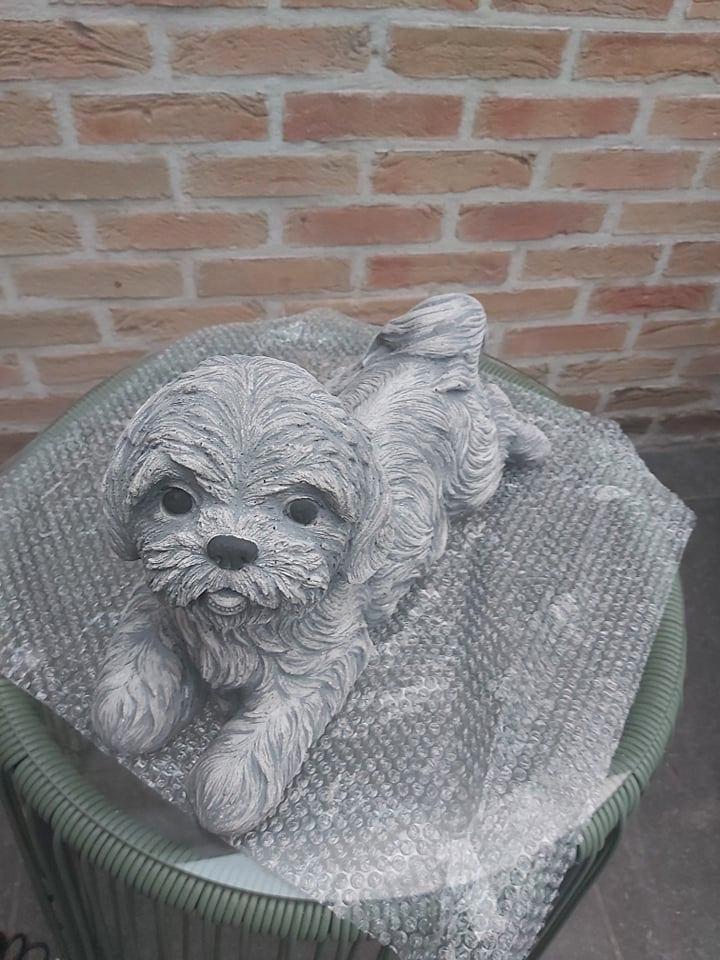 betonnen beelden honden, Jardin & Terrasse, Statues de jardin, Neuf, Animal, Béton, Enlèvement