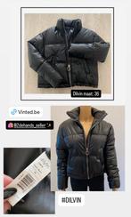 Zwarte puffer jas  Dilvin - maat: 36, Kleding | Dames, Zwart, Ophalen of Verzenden, Zo goed als nieuw, Dilvin