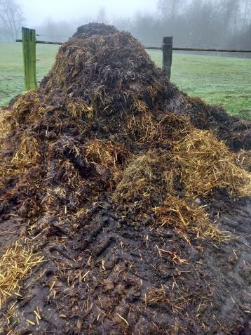 Gratis zuiver paardenmest  beschikbaar voor biedingen