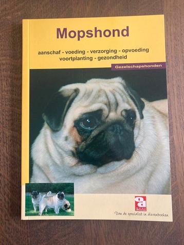 De mopshond beschikbaar voor biedingen