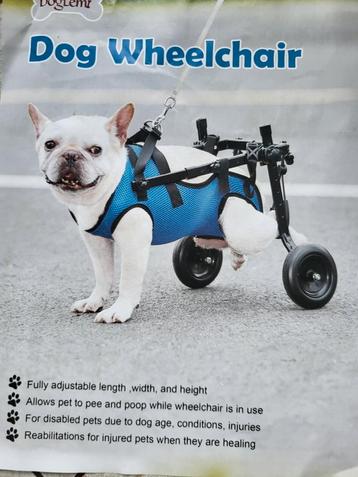 Dog Wheelchair of Hondenrolstoel beschikbaar voor biedingen