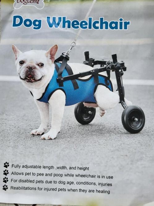 Dog Wheelchair of Hondenrolstoel, Dieren en Toebehoren, Honden-accessoires, Zo goed als nieuw, Ophalen