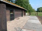 Te huur - paarden accommodatie - 📍Essen 2910, Mise à l'étable, 4 chevaux ou poneys ou plus