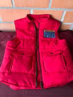 Bodywarmers large en xl large €10 het stuk, Kleding | Heren, Bodywarmers, Ophalen of Verzenden, Zo goed als nieuw
