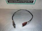 Sonde lambda d'un Volkswagen Passat (Passat 01-), Volkswagen, -, 3 mois de garantie, Utilisé