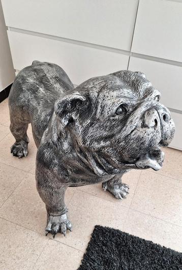 XXL Engelse Buldog Zilvergrijs
Nieuwe staat  beschikbaar voor biedingen