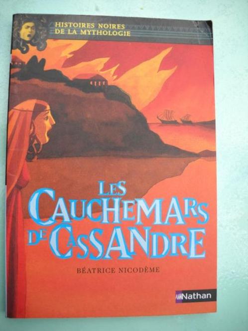 Les cauchemars de Cassandre - Béatrice Nicodème, Boeken, Kinderboeken | Jeugd | 10 tot 12 jaar, Gelezen, Fictie, Ophalen of Verzenden