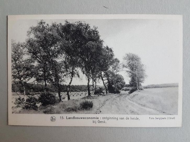 Postkaart Genk Ontginning heide Landbouweconomie, Verzamelen, Postkaarten | België, Ongelopen, Limburg, 1940 tot 1960, Ophalen of Verzenden