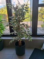 Namaak plant, Tuin en Terras, Ophalen