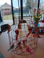 Mooie vogellamp, Enlèvement, Neuf