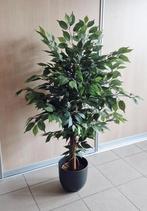 Ficus kunstplant, Huis en Inrichting, Kamerplanten, 100 tot 150 cm, Ficus, Ophalen, Groene kamerplant