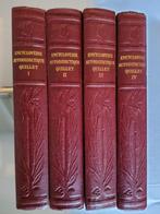 ENCYCLOPEDIE  AUTODIDACTIQUE  QUILLET, Boeken, Encyclopedieën, Ophalen of Verzenden