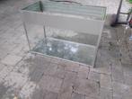 Aquarium,  terrarium, Ophalen, Gebruikt