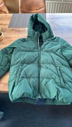 Winterjas tommy hilfiger, Kleding | Heren, Jassen | Winter, Ophalen, Zo goed als nieuw