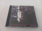 CD Lenny Kravitz Are you gonna go my way Indie Rock Pop, Cd's en Dvd's, Ophalen of Verzenden, Poprock