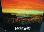 7 CD Box set Pearl Jam – Live At The Gorge 05/06, Enlèvement ou Envoi, Utilisé