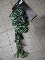 namaak planten, Ophalen of Verzenden, Nieuw, Binnen