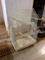 Vogel kooi 20 euro afhalen wilrijk