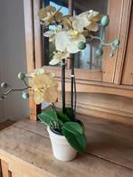 Plastieken orchidee in pot, Tuin en Terras, Bloempotten, Ophalen