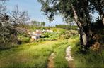 Charmante quinta in Centraal Portugal met bijgebouwen, Woonhuis, Portugal, Pedrogao Pequeno, Landelijk