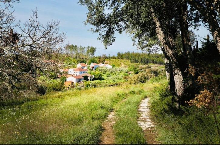 Charmante quinta in Centraal Portugal met bijgebouwen, Immo, Buitenland, Portugal, Woonhuis, Landelijk