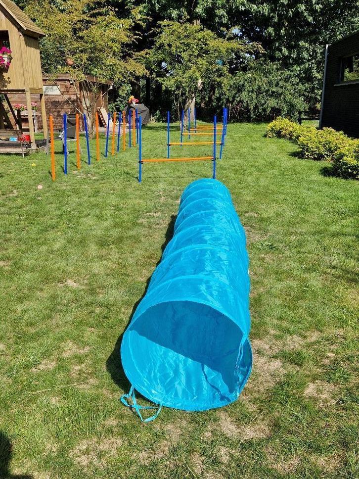 Kit d'agilité pour chiens, Animaux & Accessoires, Accessoires pour chiens, Utilisé, Enlèvement