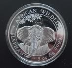 Somalische Elephant (5oz) 2021, Postzegels en Munten, Munten | Afrika, Verzenden, Overige landen, Losse munt, Zilver