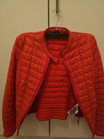 Guess, Kleding | Dames, Jassen | Zomer, Ophalen, Guess, Zo goed als nieuw, Maat 34 (XS) of kleiner