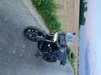 Harley-Davidson, Motoren, Motoren | Harley-Davidson, Particulier, Meer dan 35 kW, Toermotor, 2 cilinders