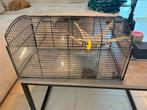 Hamsterkooi, Dieren en Toebehoren