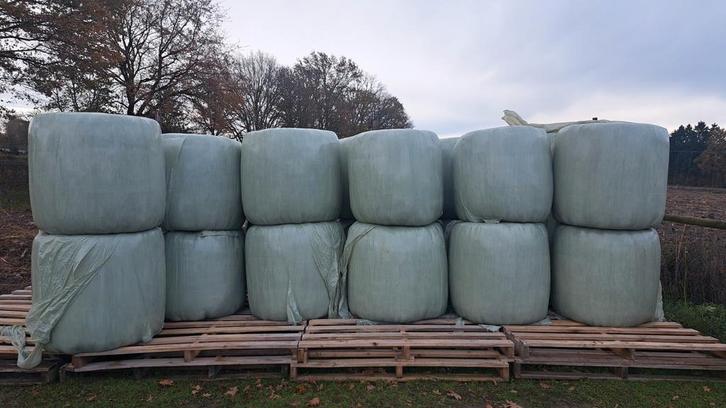 Midibalen gras, Dieren en Toebehoren, Dierenvoeding, Ophalen