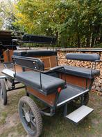 Koets (tot 6 personen), Dieren en Toebehoren, Gebruikt, Overige typen, Paard of Pony