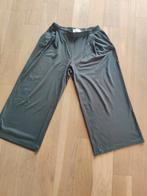 Broek Nathalie Vleeshouwer xl, Ophalen of Verzenden, Zo goed als nieuw, Maat 42/44 (L)