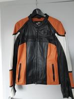 ledere dames motovest van harley davidson, Ophalen, Jas | leer, Harley Davidson, Nieuw zonder kaartje