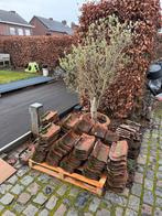 Boomse pannen, Ophalen, Gebruikt, Steen of Klei, 5 tot 10 m²